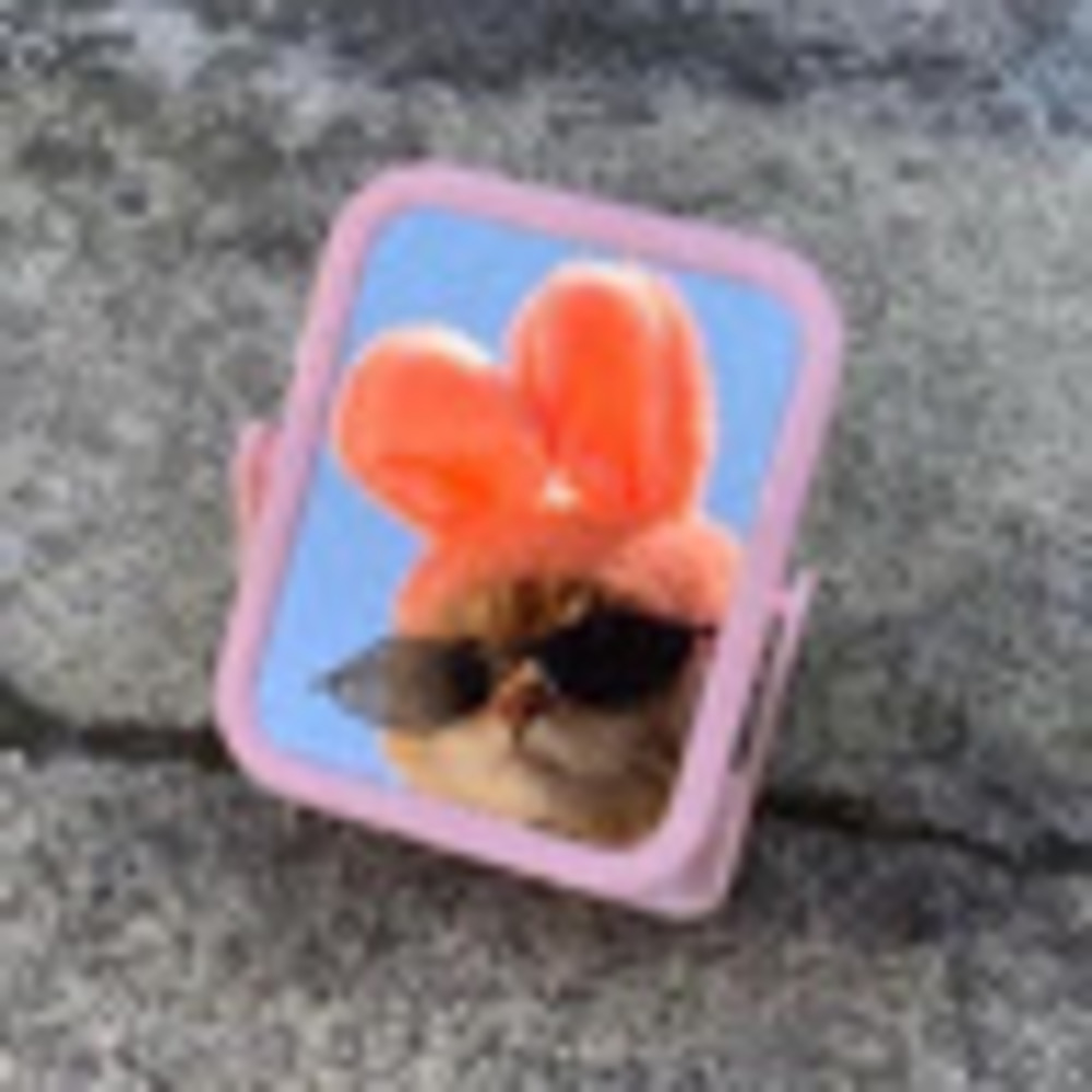 Meet your Posher, Diana